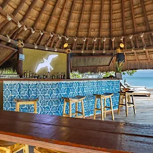 book here