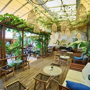 book here