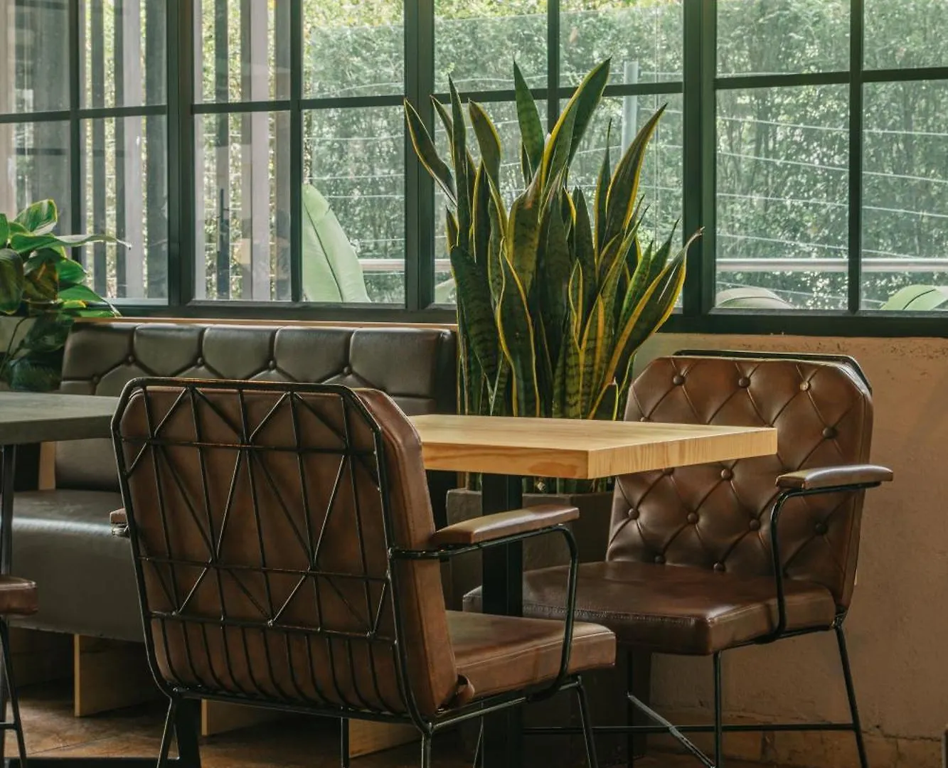 Cafe Hotel Medellín
